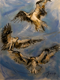 Osprey Spumante by Tracy Owen Cullimore